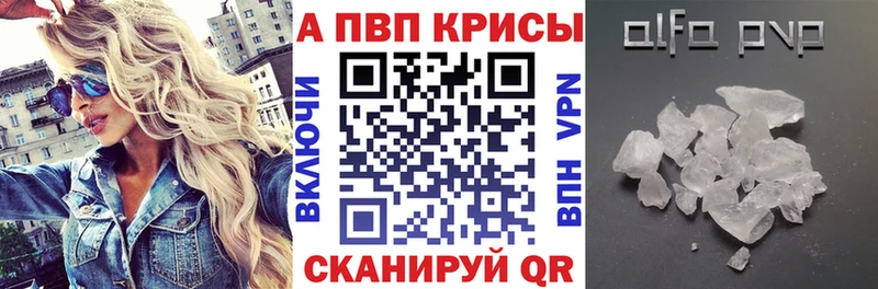 Alfa_PVP СК Рязань