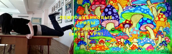 а пвп мука Протвино