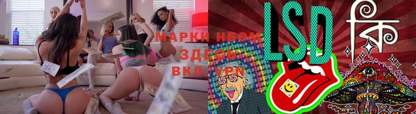 мяу мяу мука Пролетарск