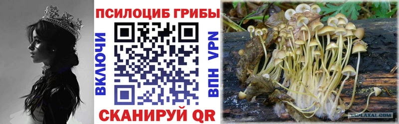 Галлюциногенные грибы мухоморы  МЕГА вход  Рязань  сколько стоит 