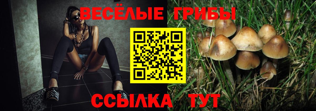 Рязань  Галлюциногенные грибы прущие грибы  Вход с VPN 